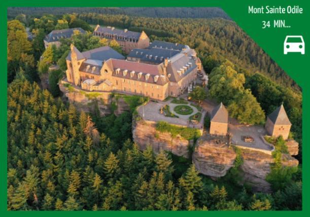 Апартаменти Aux Plaisirs D'Alsace Centre Historique Селеста Екстер'єр фото