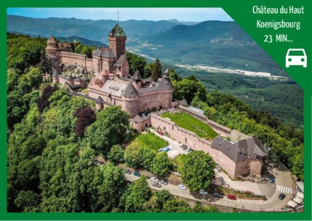 Апартаменти Aux Plaisirs D'Alsace Centre Historique Селеста Екстер'єр фото