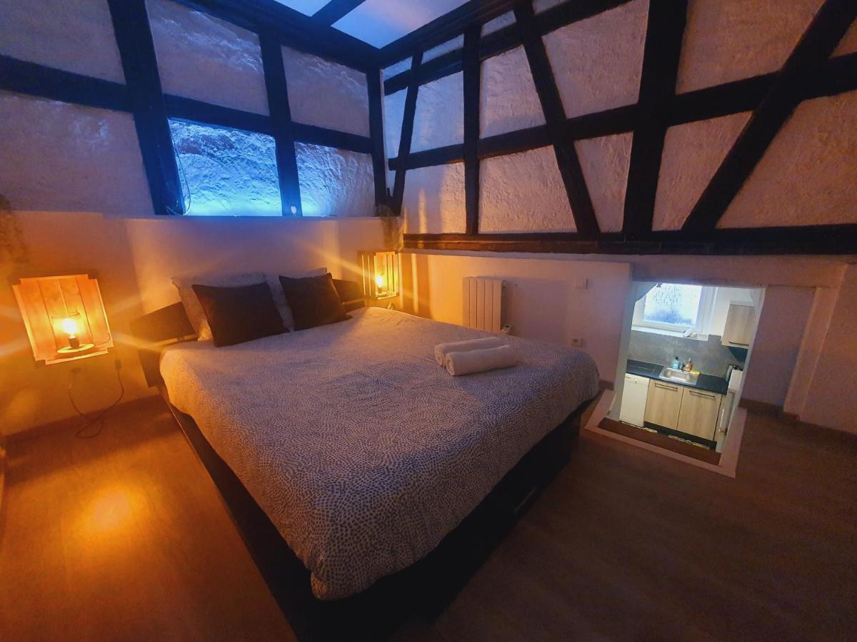 Апартаменти Aux Plaisirs D'Alsace Centre Historique Селеста Екстер'єр фото